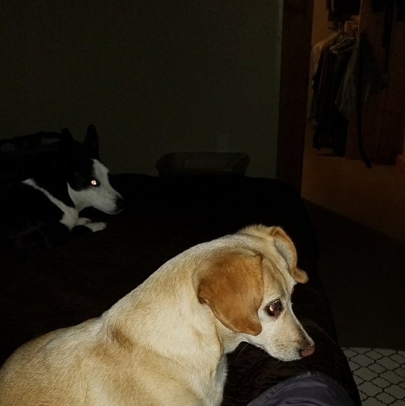 Meet your Posher, Beth - Picture 6 of 8